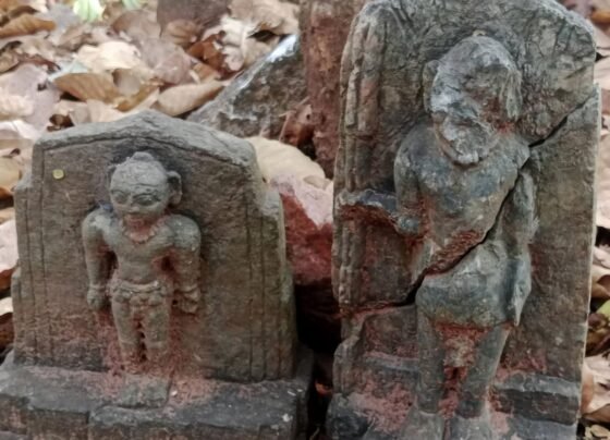Ancient Idols Found in Navagarh