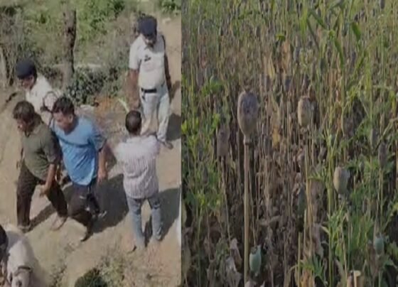 Durg Opium Farming Case
