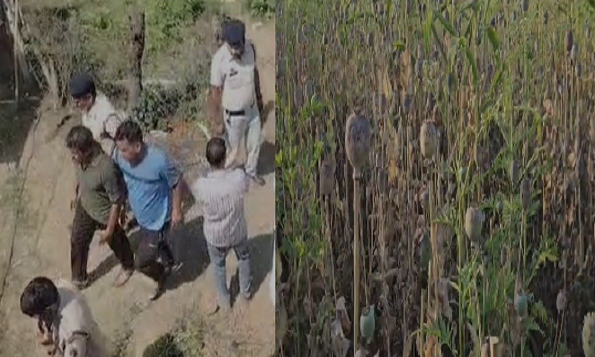 Durg Opium Farming Case: छत्तीसगढ़ भाजपा ने दिखाई सख्ती, अफीम की खेती मामले में दुर्ग के नेता विनायक ताम्रकर को किया निलंबित