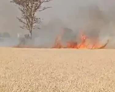 Durg Wheat Crop Fire News