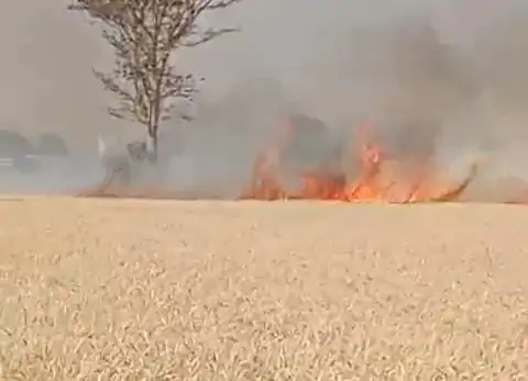 Durg Wheat Crop Fire News