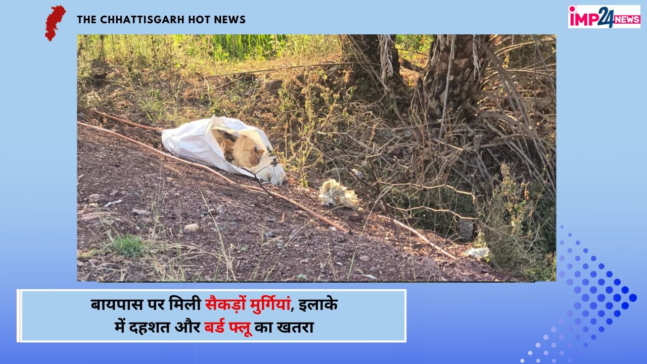Maut ka Dher :  बायपास किनारे बोरियों में मिली सैकड़ों मृत मुर्गियां, इलाके में फैली दहशत और बर्ड फ्लू का खतरा