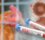 Raigarh Bird Flu Alert