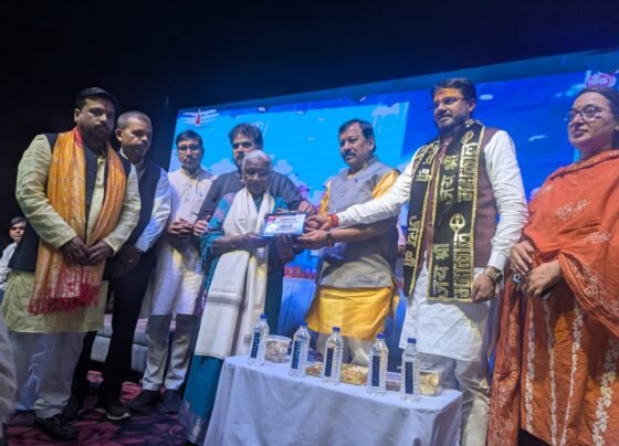 Shaheed Cup Flood Light Cricket Tournament