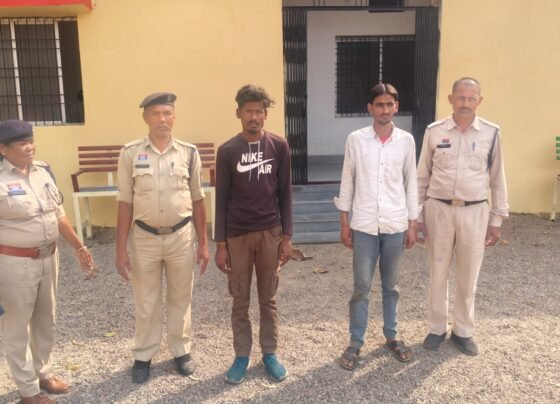 Surajpur Cattle Smuggling