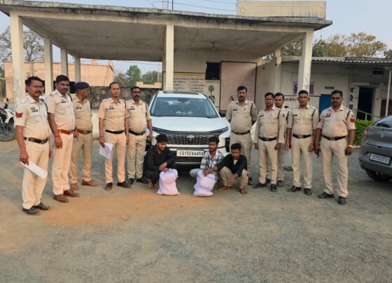Surajpur Police Ganja Seizure