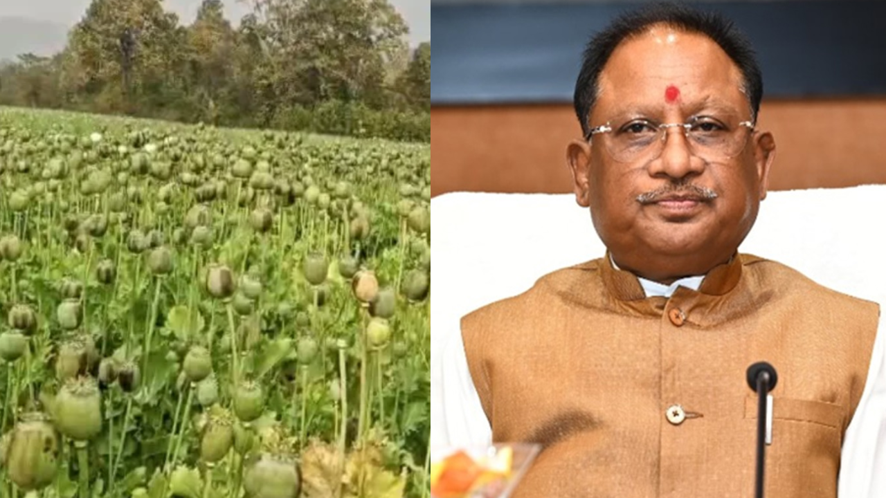 छत्तीसगढ़ में अवैध अफीम खेती पर सख्त सरकार, सीएम विष्णु देव साय ने कलेक्टरों को 15 दिन में सर्वे रिपोर्ट देने के दिए निर्देश