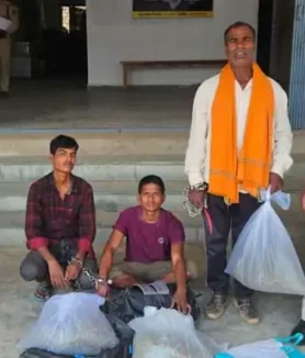 Raigarh Ganja Seizure News