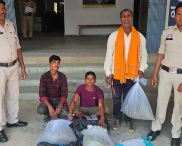 Raigarh Ganja Seizure News