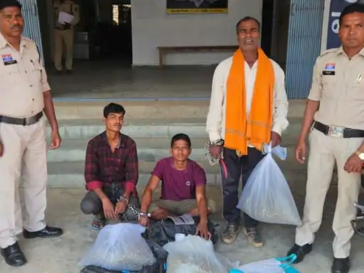 Raigarh Ganja Seizure News