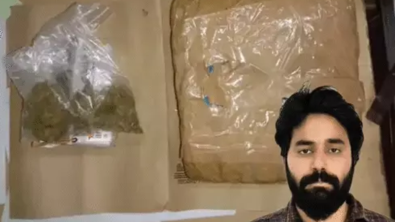 हाईप्रोफाइल ओशियन ग्रोथ गांजा मामला: रायपुर में पकड़ा गया 1 करोड़ प्रति किलो का हाइड्रोपोनिक गांजा