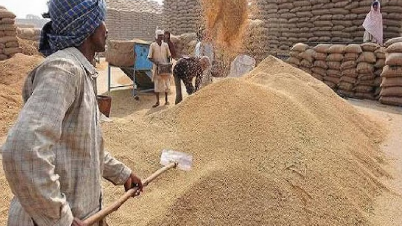 किसानों के लिए बड़े ऐलान: गेहूं खरीदी लक्ष्य 100 लाख MT, उड़द पर ₹600 बोनस