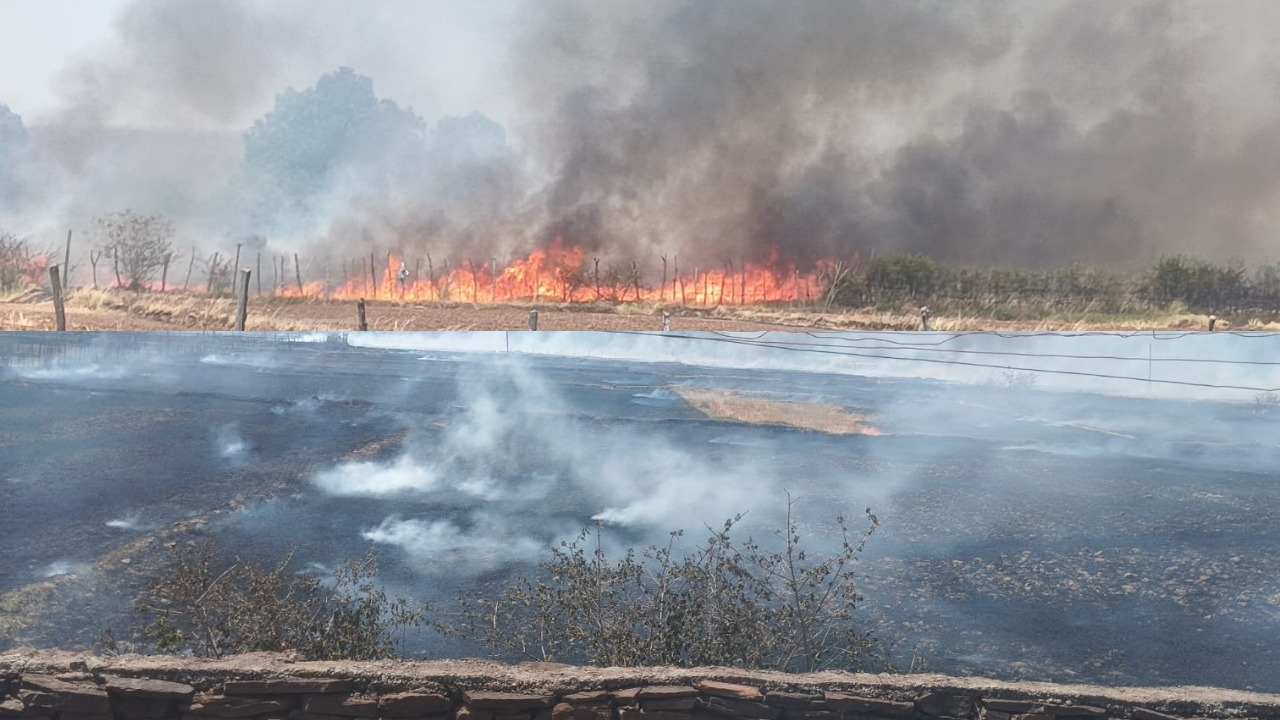 Damoh News: दमोह के कुलुवा गांव में भीषण आग, खेतों तक फैली लपटें, ग्रामीणों में मचा हड़कंप