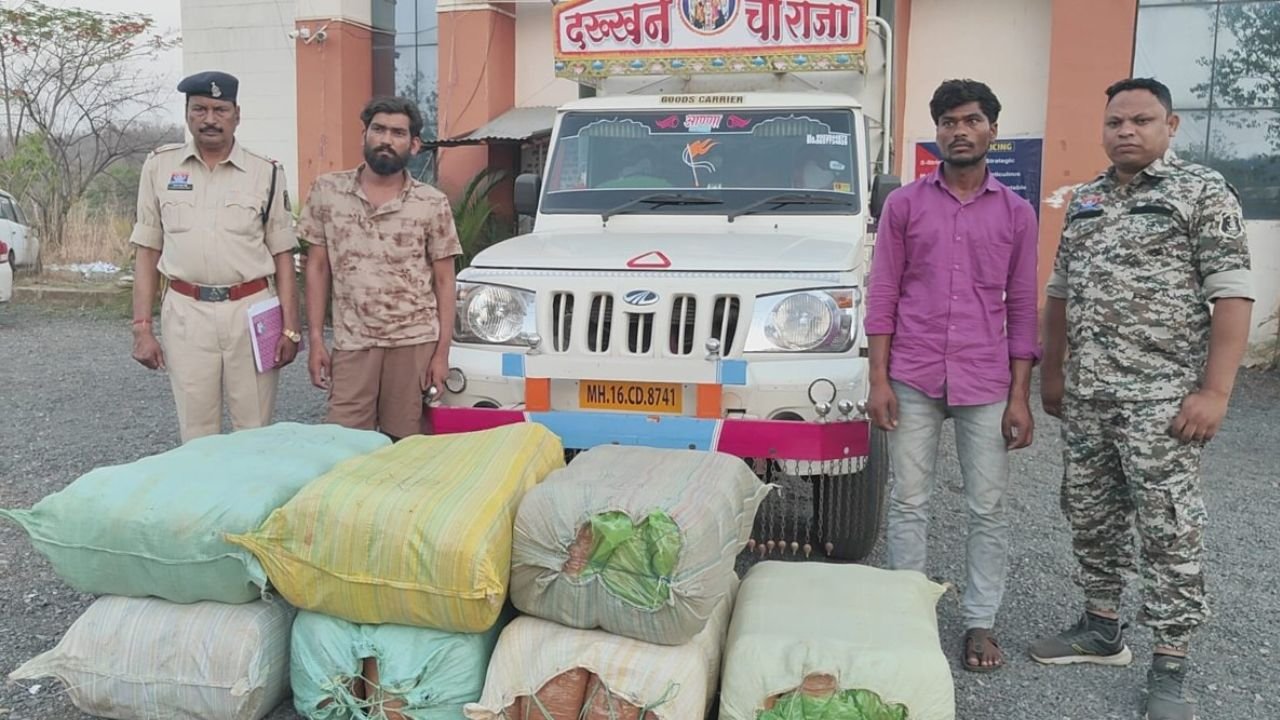 महासमुंद में बड़ी कार्रवाई: 1.14 करोड़ का 226 किलो गांजा जब्त, दो तस्कर गिरफ्तार