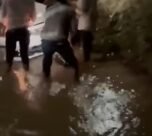 CG Kawardha Accident News