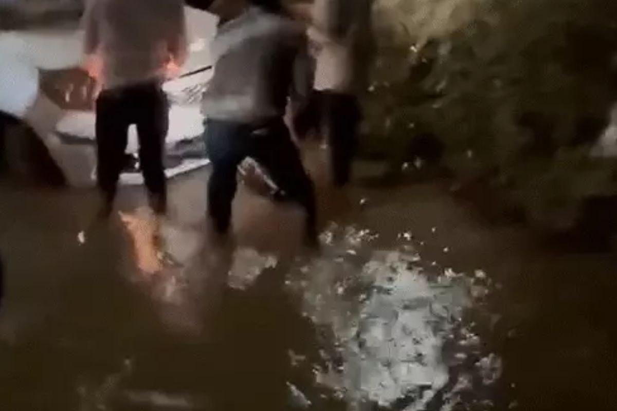 Kawardha Accident: कवर्धा में दर्दनाक हादसा: तेज रफ्तार कार नदी में गिरी, 4 युवकों की मौत, 2 गंभीर