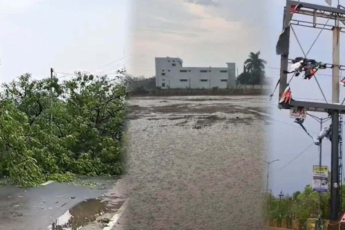 CG Weather: रायपुर समेत कई जिलों में झमाझम बारिश, आंधी-तूफान से बदला मौसम, IMD का ऑरेंज अलर्ट जारी
