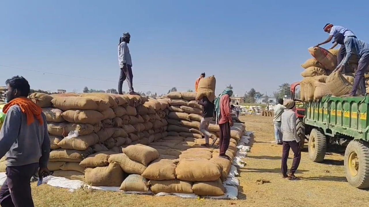 Kawardha News: कवर्धा में 81 लाख से अधिक के धान घोटाले का खुलासा, तीन धान खरीदी प्रभारियों पर FIR दर्ज