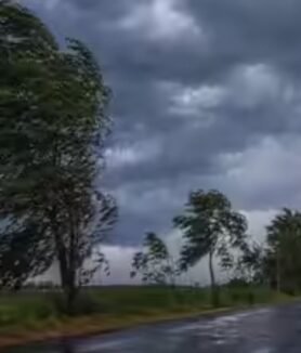 Weather