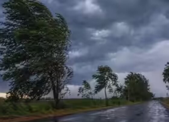 Weather