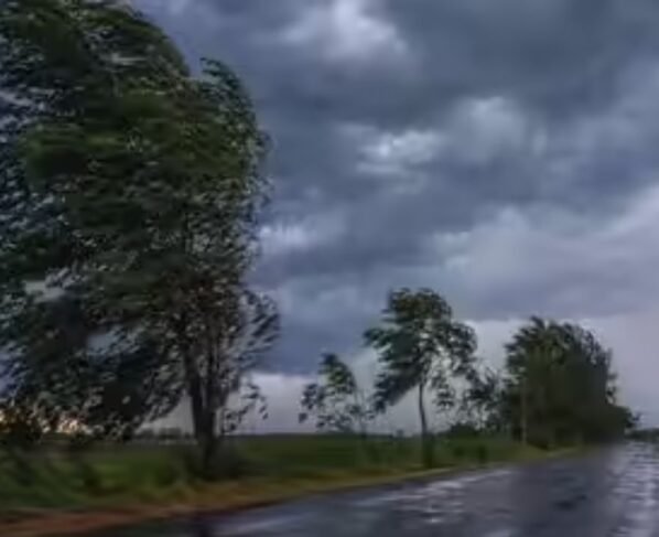 Weather