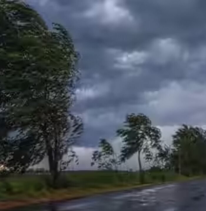Weather