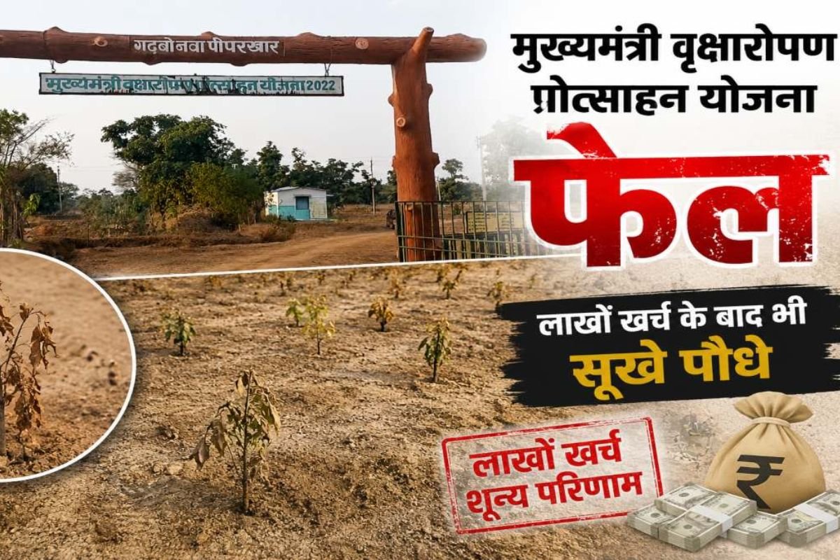 मुख्यमंत्री वृक्षारोपण योजना पर उठे सवाल, 8.75 लाख की लागत से लगाए पौधे सूखे, उजड़ गया हरित परिसर