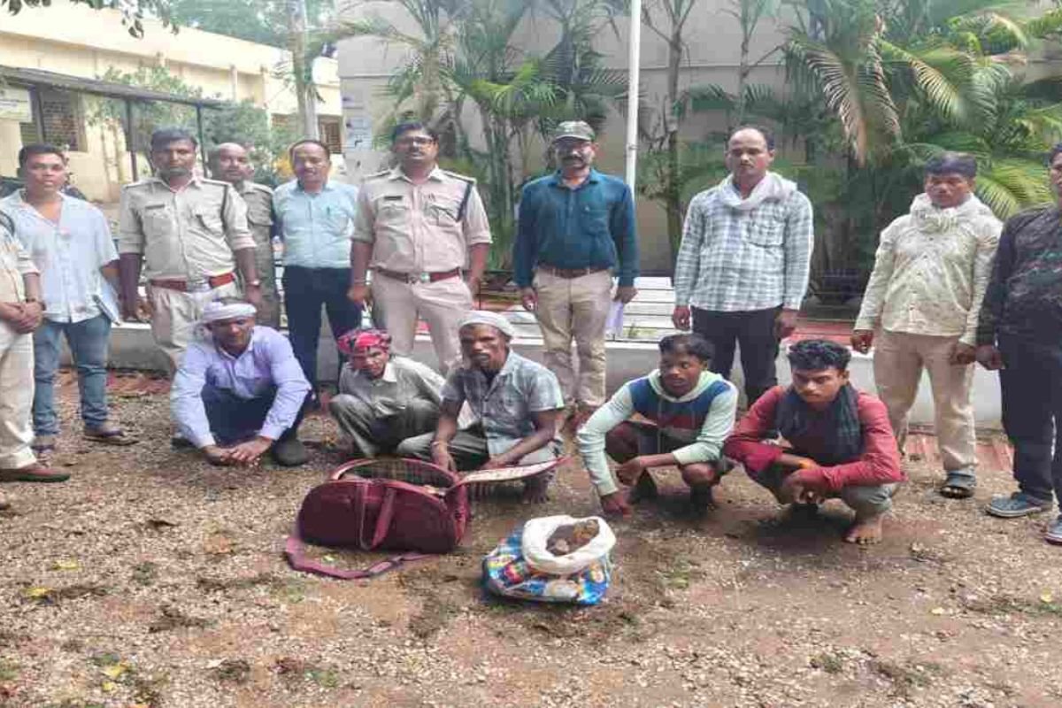 MP News:बाघ की हड्डियों और कंकाल के साथ पांच गिरफ्तार, वन विभाग की गुप्त कार्रवाई से मचा हड़कंप