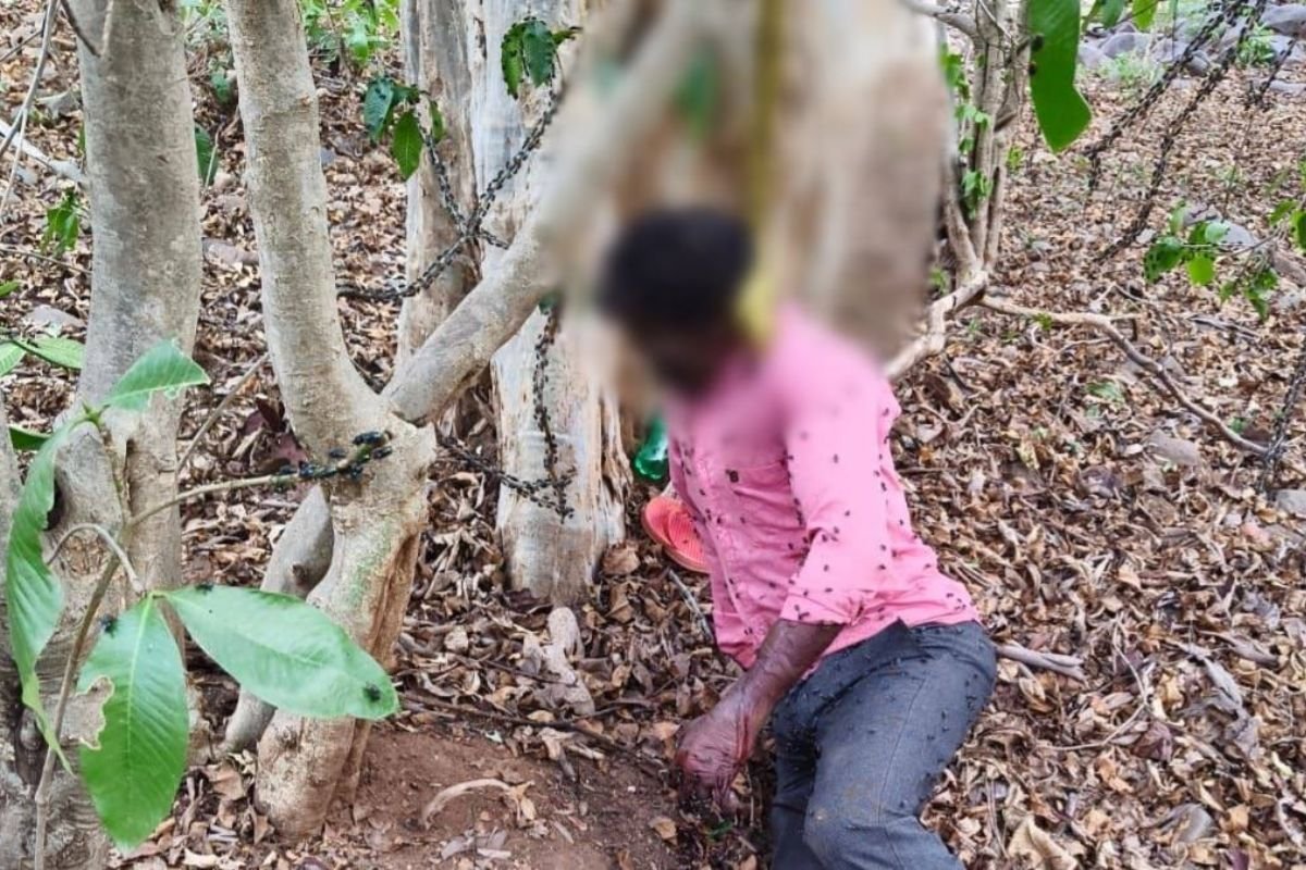 CG Suicide News:खैरागढ़ में पेड़ से लटका मिला वृद्ध का शव, गांव में फैली सनसनी