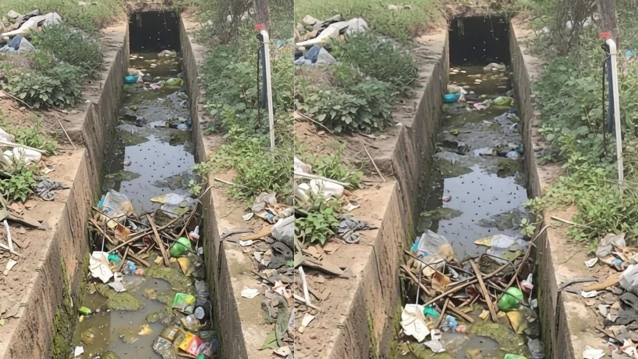 Surajpur News: प्रतापपुर में खुली नालियां बनीं हादसों की वजह, बारिश में वार्ड 13 के लोगों की बढ़ीं मुश्किलें