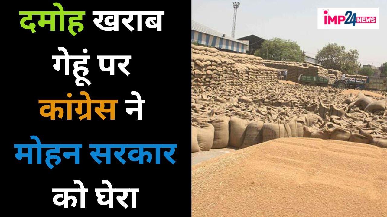 “खरीदी व्यवस्था के दावे पूरी तरह खोखले..” दमोह खराब गेहूं की गूंज भोपाल तक, कांग्रेस  ने मोहन सरकार को घेरा, पढ़ें पूरी खबर