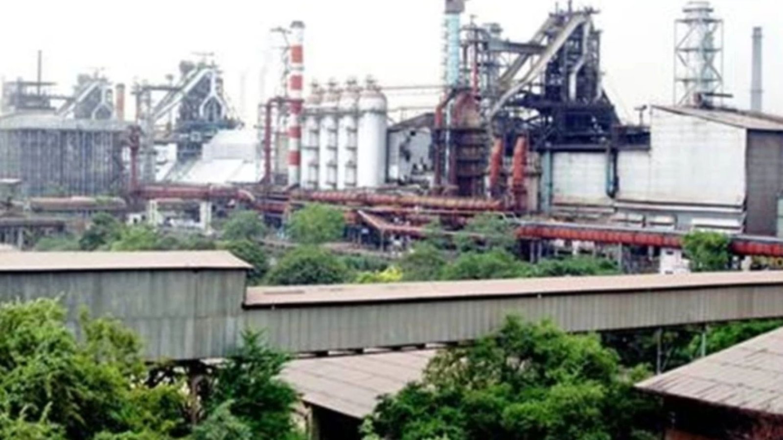 Bhilai News: भिलाई में पूर्व क्रिकेटर पर धोखाधड़ी का आरोप, कोर्ट के निर्देश के बाद पुलिस जांच शुरू