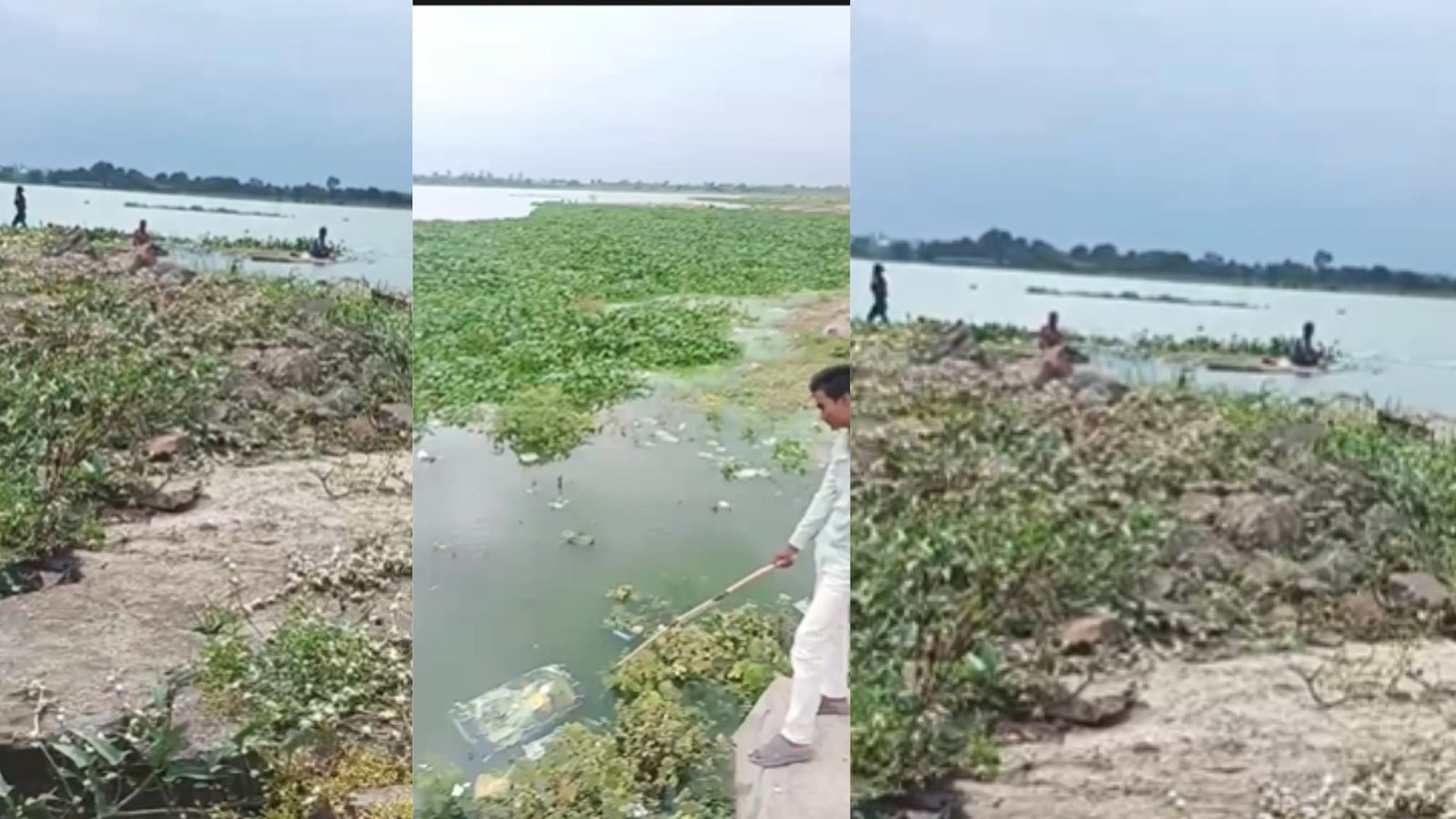 MP Bhopal News: प्रतिबंध के बावजूद हथाईखेड़ा डैम में अवैध मछली शिकार, प्रशासन और मत्स्य विभाग की भूमिका पर सवाल, देखें वीडियो