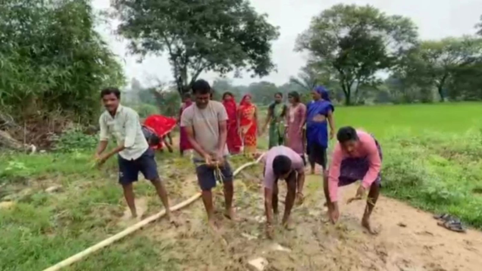 Ambikapur News: 10 साल से अधूरी सड़क, अब कीचड़ में धान रोपकर ग्रामीणों ने जताया विरोध