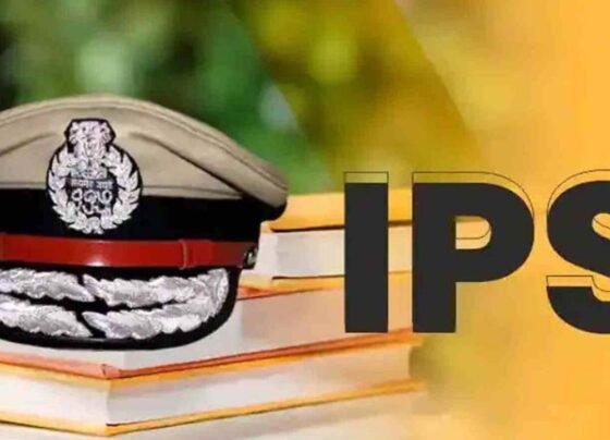 IPS Transfer