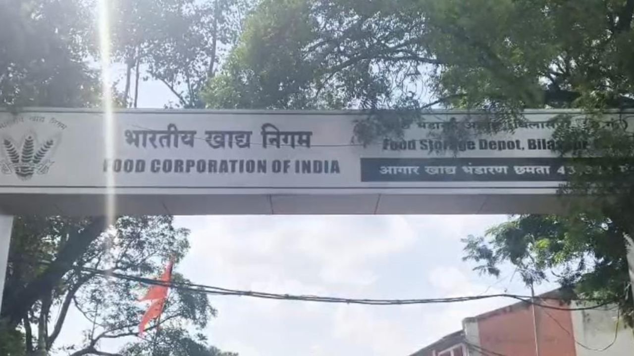 Bilaspur News: बिलासपुर FCI गोदाम में सड़ रहा चावल, तेज बदबू से व्यापारियों की बढ़ी परेशानी, कुछ देर खड़ा रहना भी मुश्किल