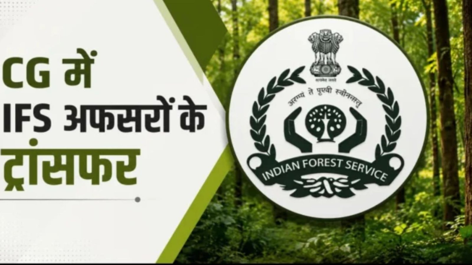 Raipur News : छत्तीसगढ़ वन विभाग में प्रशासनिक सर्जरी, रायपुर के नए DFO बने पंकज राजपूत