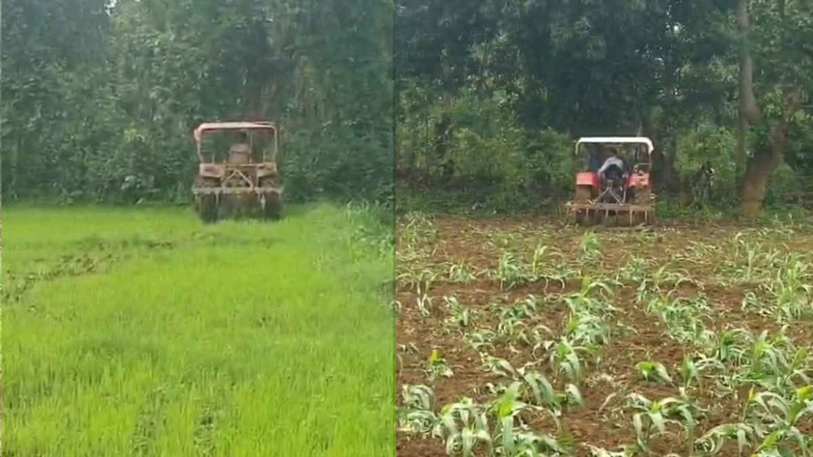 Jagdalpur News : वन भूमि पर खेती को लेकर टकराव: कार्रवाई के बाद किसानों का विरोध, निष्पक्ष जांच की मांग