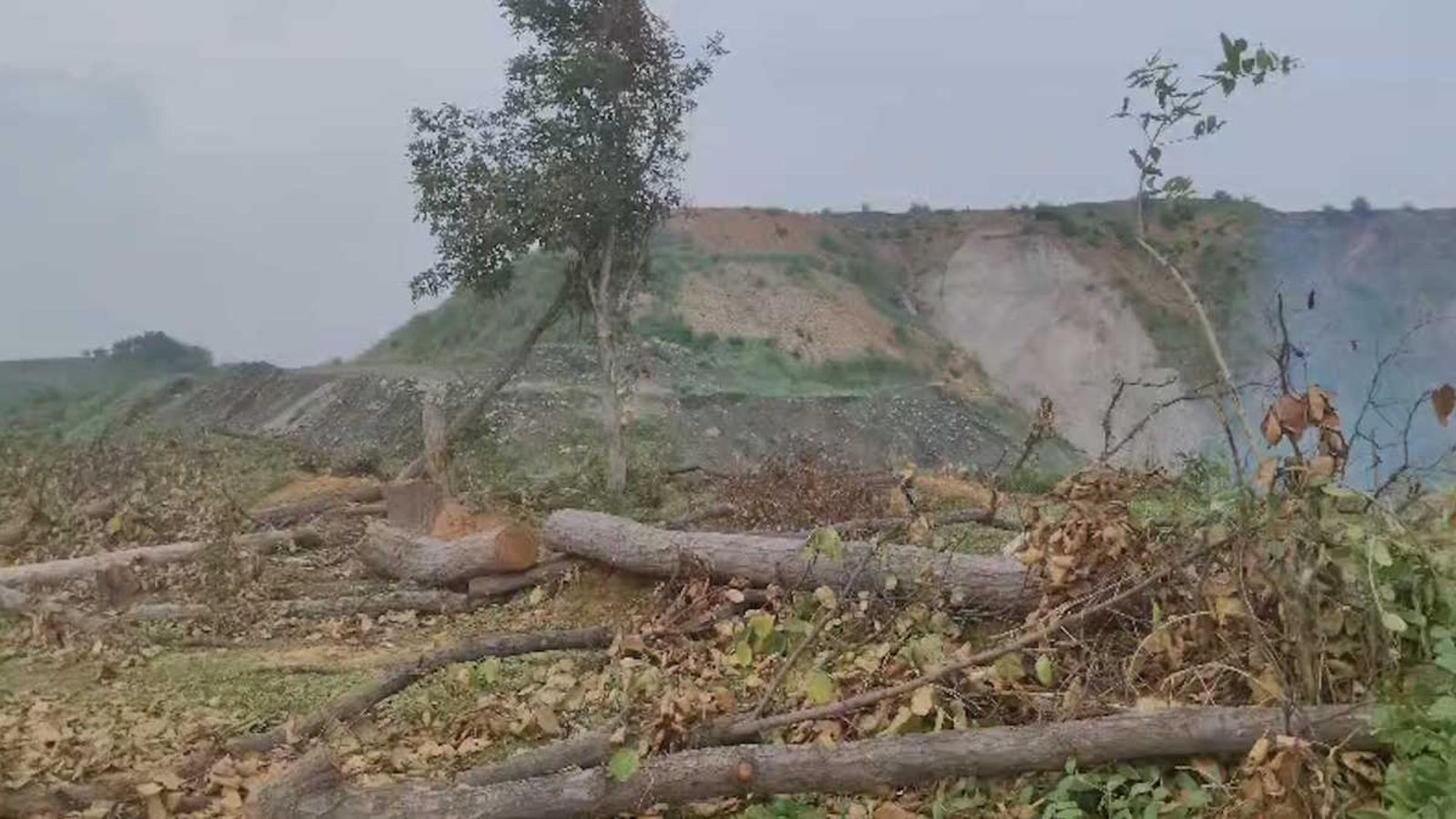 Raigarh News : जिंदल की कोयला परियोजना पर विवाद, वन विभाग और कंपनी पर उठे सवाल