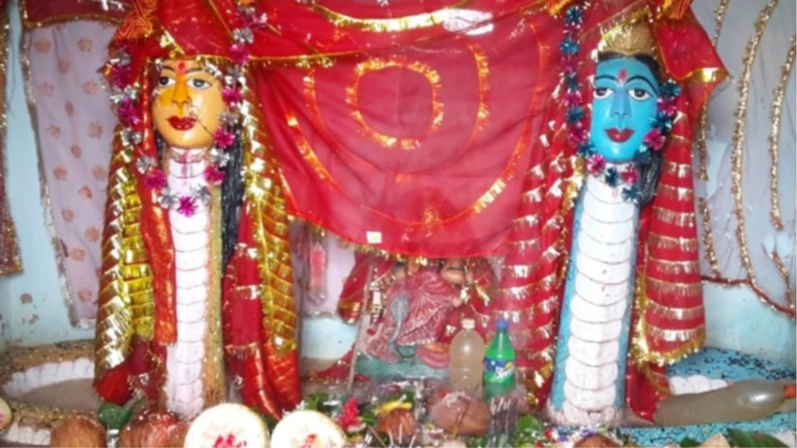 Jashpur News : नागपंचमी पर उमड़ते हैं श्रद्धालु, नागदेवता की पूजा और अनोखी परंपरा बनती है आकर्षण