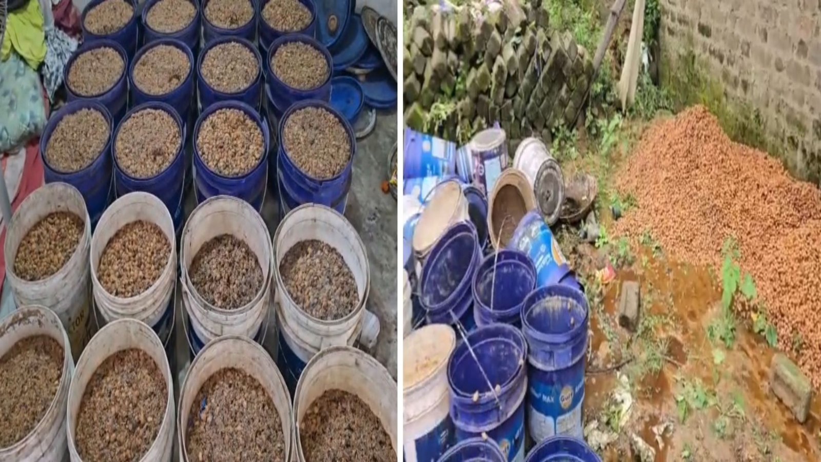 Ambikapur News : पटपरिया में अवैध शराब के खिलाफ छापा, महुआ शराब फैक्ट्री पकड़ी गई, एक आरोपी गिरफ्तार
