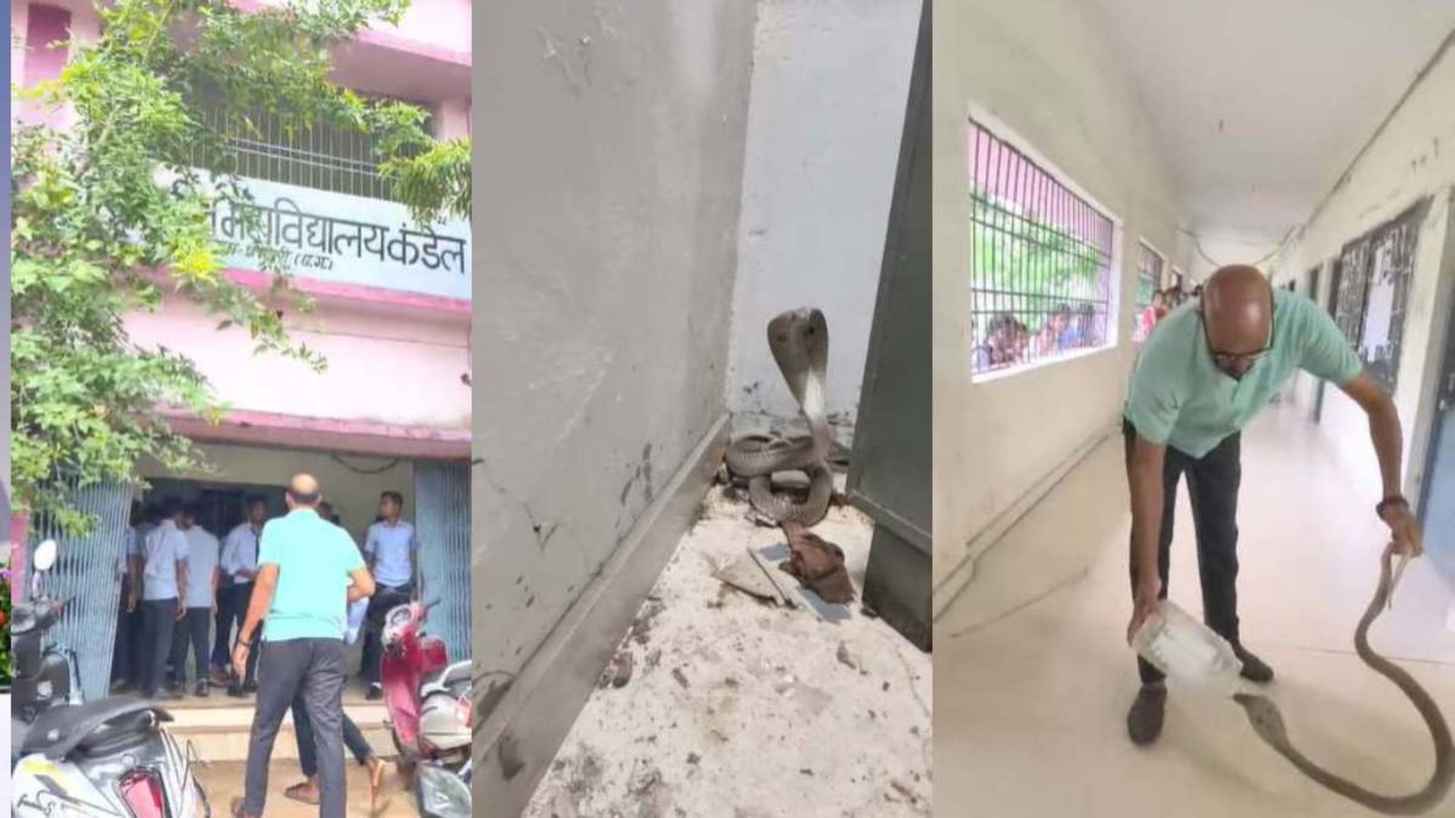 Dhamtari News : आत्मानंद स्कूल की कक्षा में निकला कोबरा, फुफकार की आवाज सुन छात्रों में मचा हड़कंप