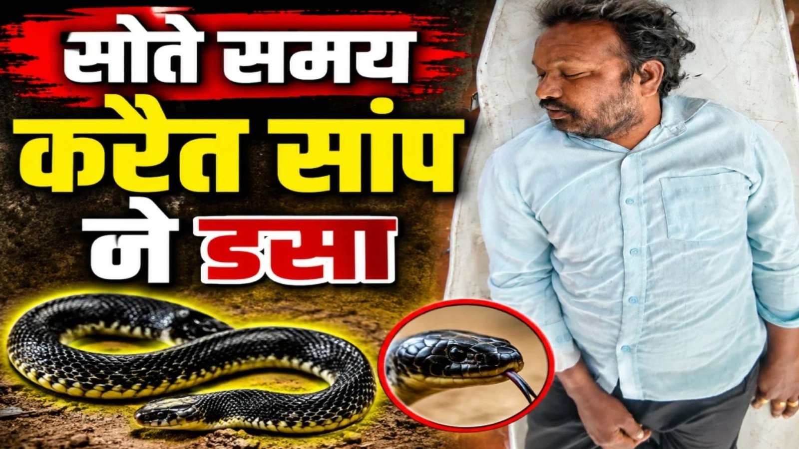 Dhamtari News : धमतरी में कॉमन करैत का आतंक, सांप के डसने से युवक की मौत के बाद गांव में दहशत