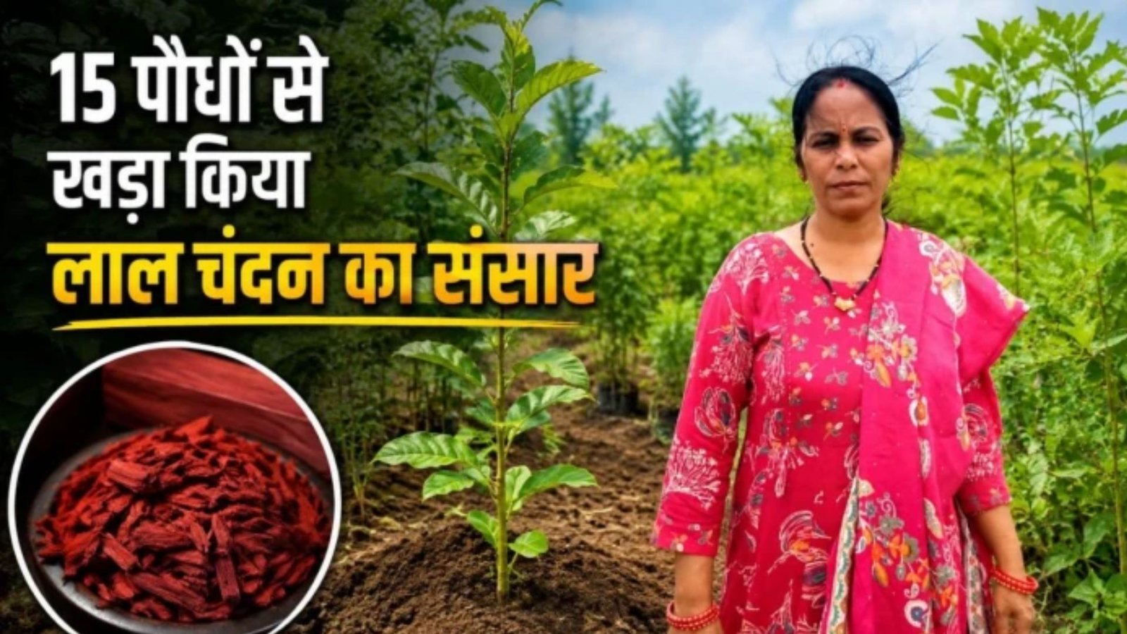 Jagdalpur News : लाल चंदन से बदली तकदीर: महिला किसान ने जैविक खेती से रचा प्रेरणादायक मॉडल