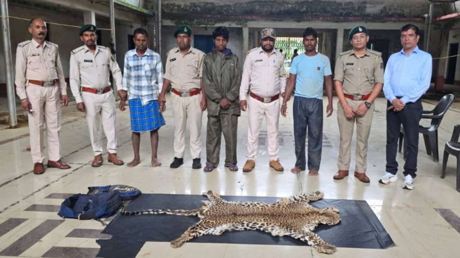Narayanpur News : वन विभाग की बड़ी कार्रवाई, तेंदुए की खाल तस्करी में 3 गिरफ्तार; नेटवर्क की कड़ियां खंगाल रही टीम