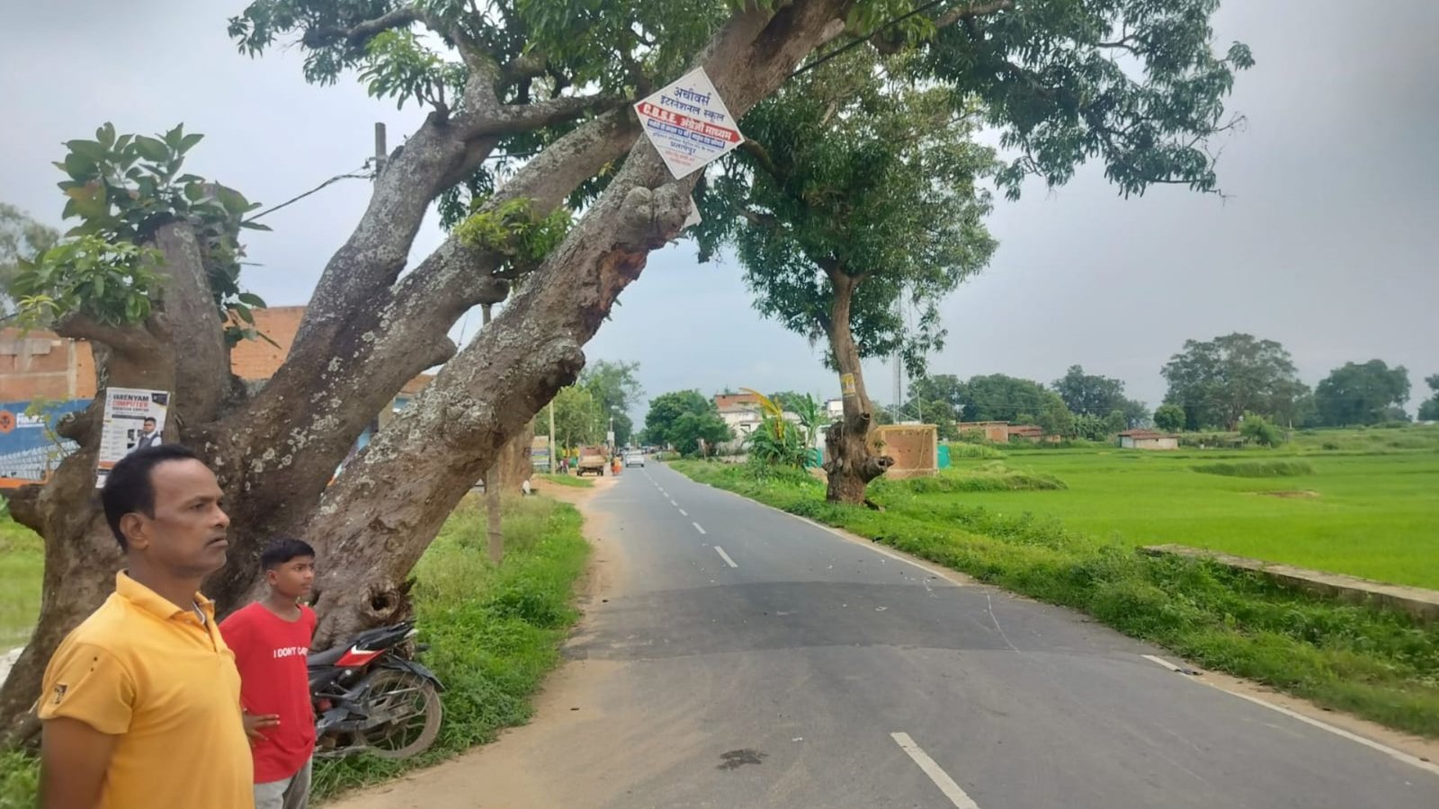 Surajpur News: बारिश-तेज हवा में बढ़ा पेड़ गिरने का खतरा, ग्रामीणों ने वन विभाग से कार्रवाई की मांग