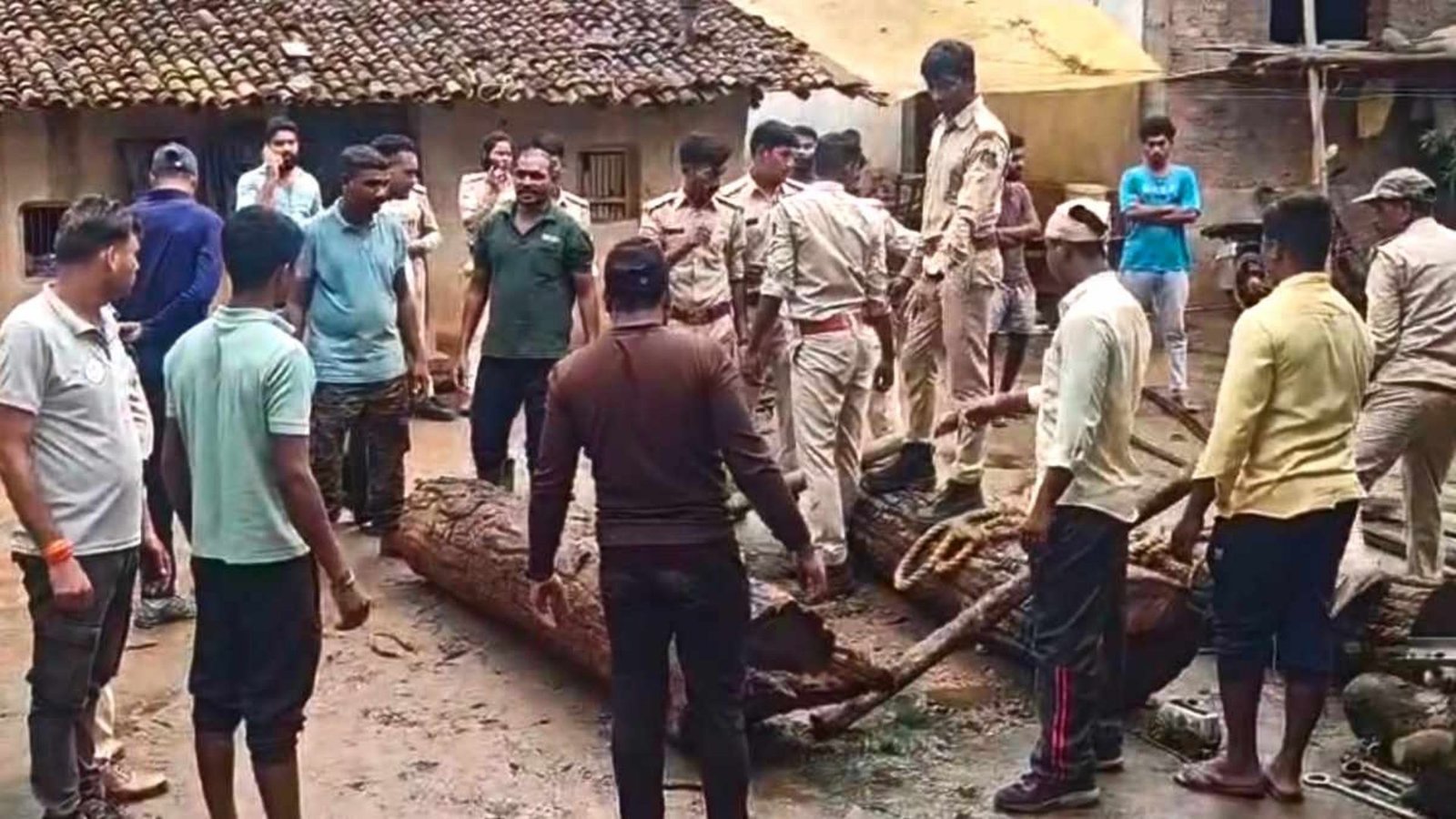 Gariyaband News : छत्तीसगढ़-ओडिशा सीमा पर लकड़ी तस्करी नेटवर्क का खुलासा, USTR की कार्रवाई में बड़ी बरामदगी