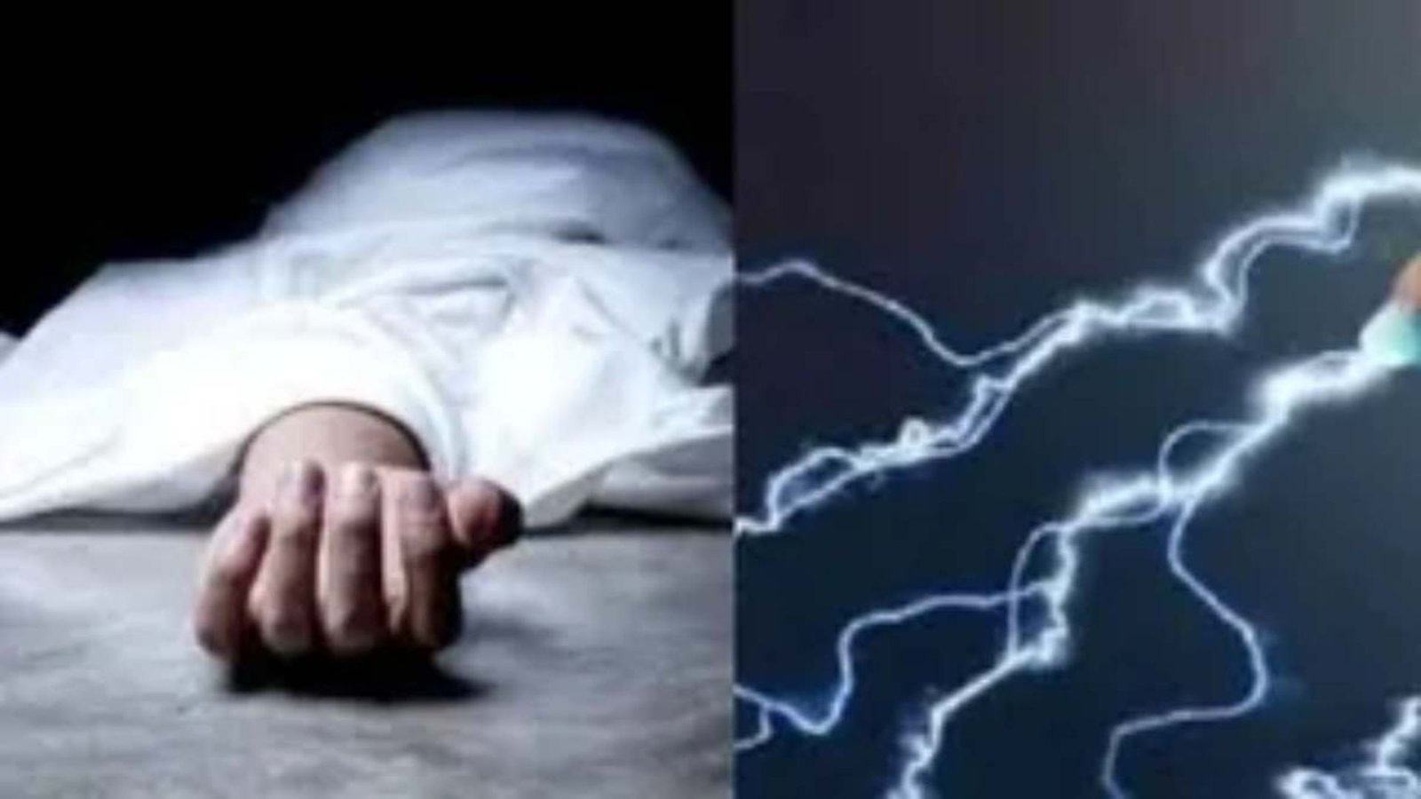 Kawardha News : पेड़ काटते समय हुआ दर्दनाक हादसा, तीन बेटियों ने खोया पिता; आर्थिक मदद की मांग