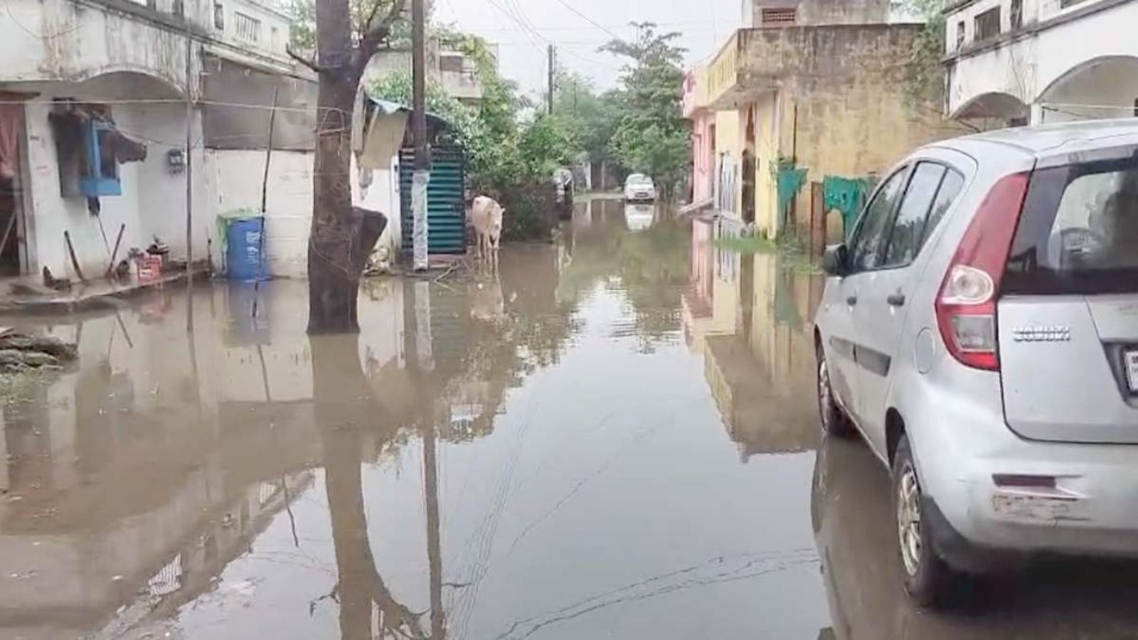 Raipur News : बारिश के बाद कॉलोनी की सड़कों पर जमा गंदा पानी, रहवासियों ने स्थायी जल निकासी व्यवस्था की मांग की