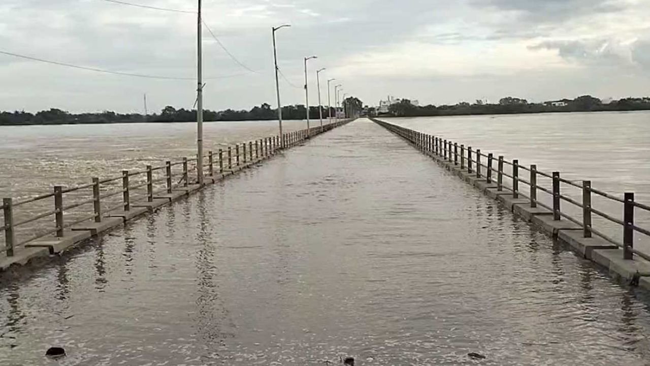 Janjgir-Champa News: जांजगीर-चांपा में बाढ़ का कहर, शिवरीनारायण का संपर्क टूटा; शबरी पुल के ऊपर 6 फीट पानी